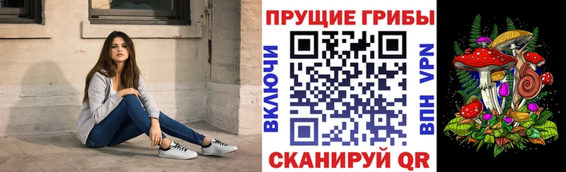 купить   Бабушкин  Галлюциногенные грибы Psilocybe 